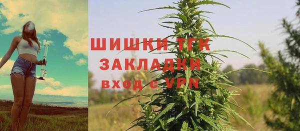 дмт Лиски